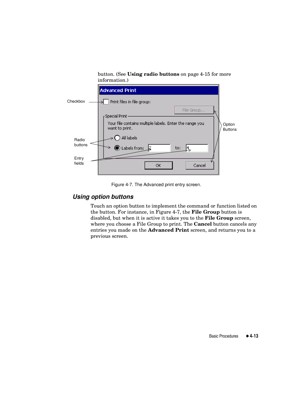 Brady label maker manual Using option buttons, Advanced print entry screen 