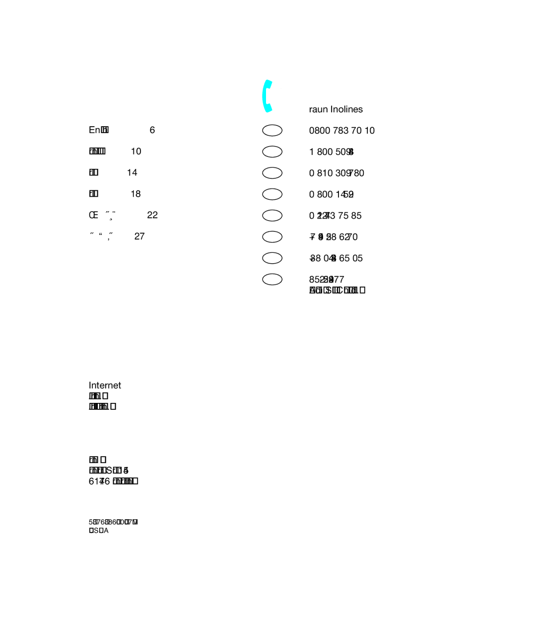 Braun 5376 manual Internet 