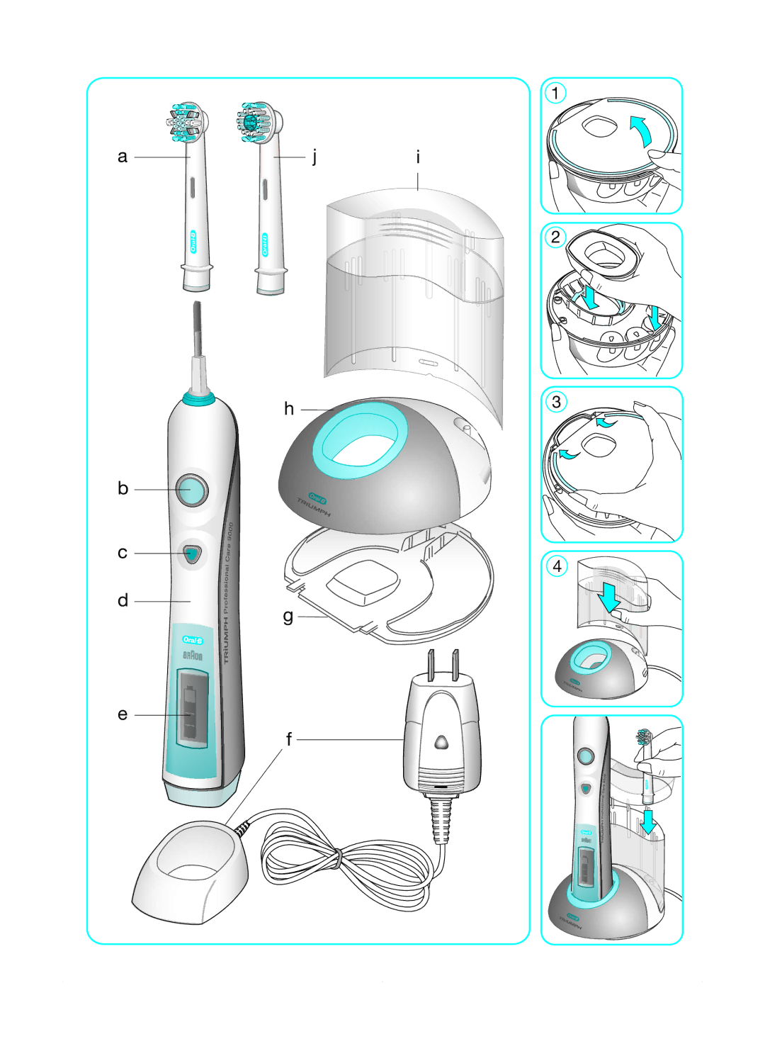 Braun Triumph manual Oral 