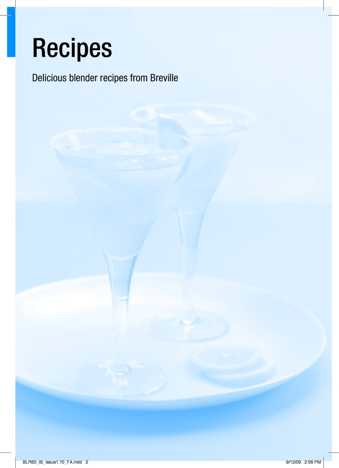 Breville BLR50 manual Recipes 