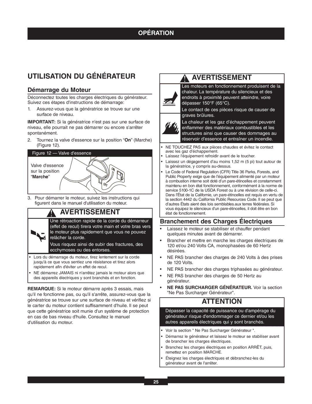 Briggs & Stratton 01653-4 Utilisation DU Générateur, Démarrage du Moteur, Branchement des Charges Électriques 