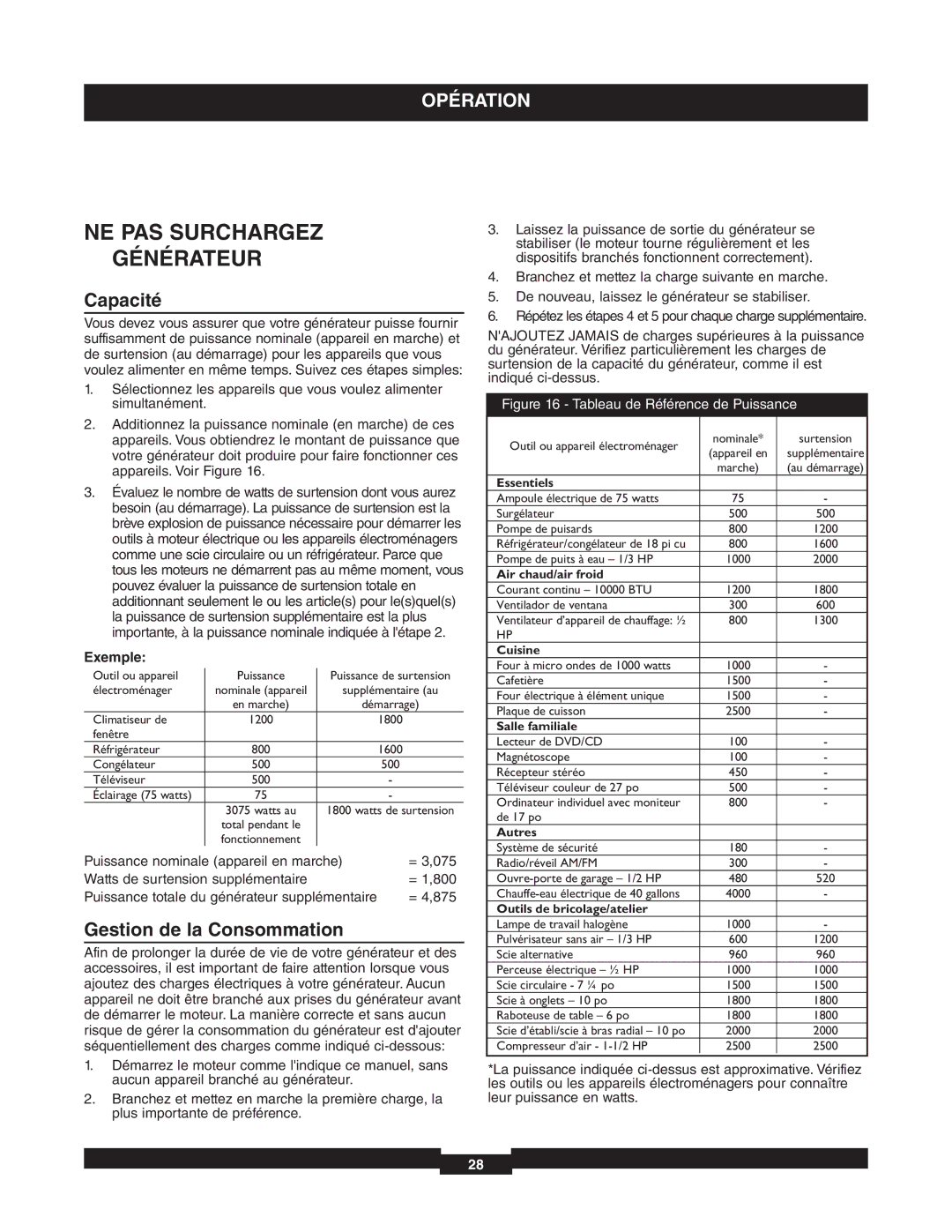 Briggs & Stratton 01653-4 manuel dutilisation NE PAS Surchargez Générateur, Capacité, Gestion de la Consommation, Exemple 