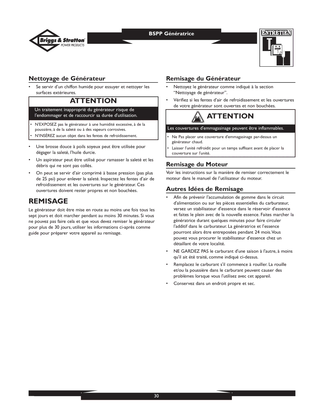 Briggs & Stratton 01932 Nettoyage de Générateur, Remisage du Générateur, Remisage du Moteur, Autres Idées de Remisage 