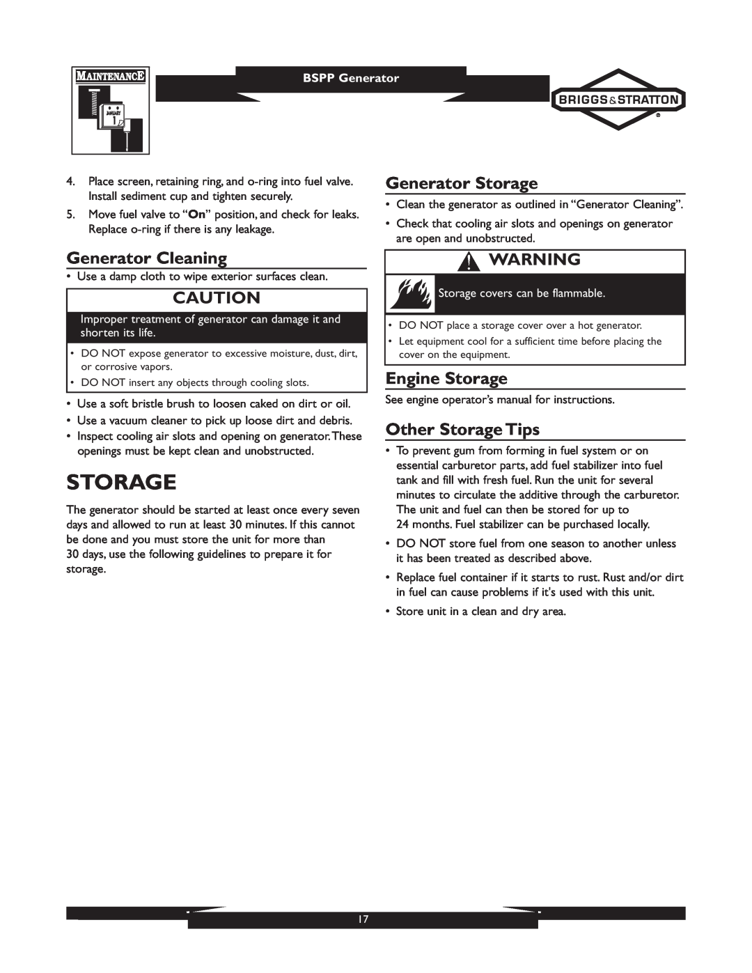 Briggs & Stratton 01933-1 Generator Storage, Generator Cleaning, Engine Storage, Other Storage Tips, BSPP Generator 