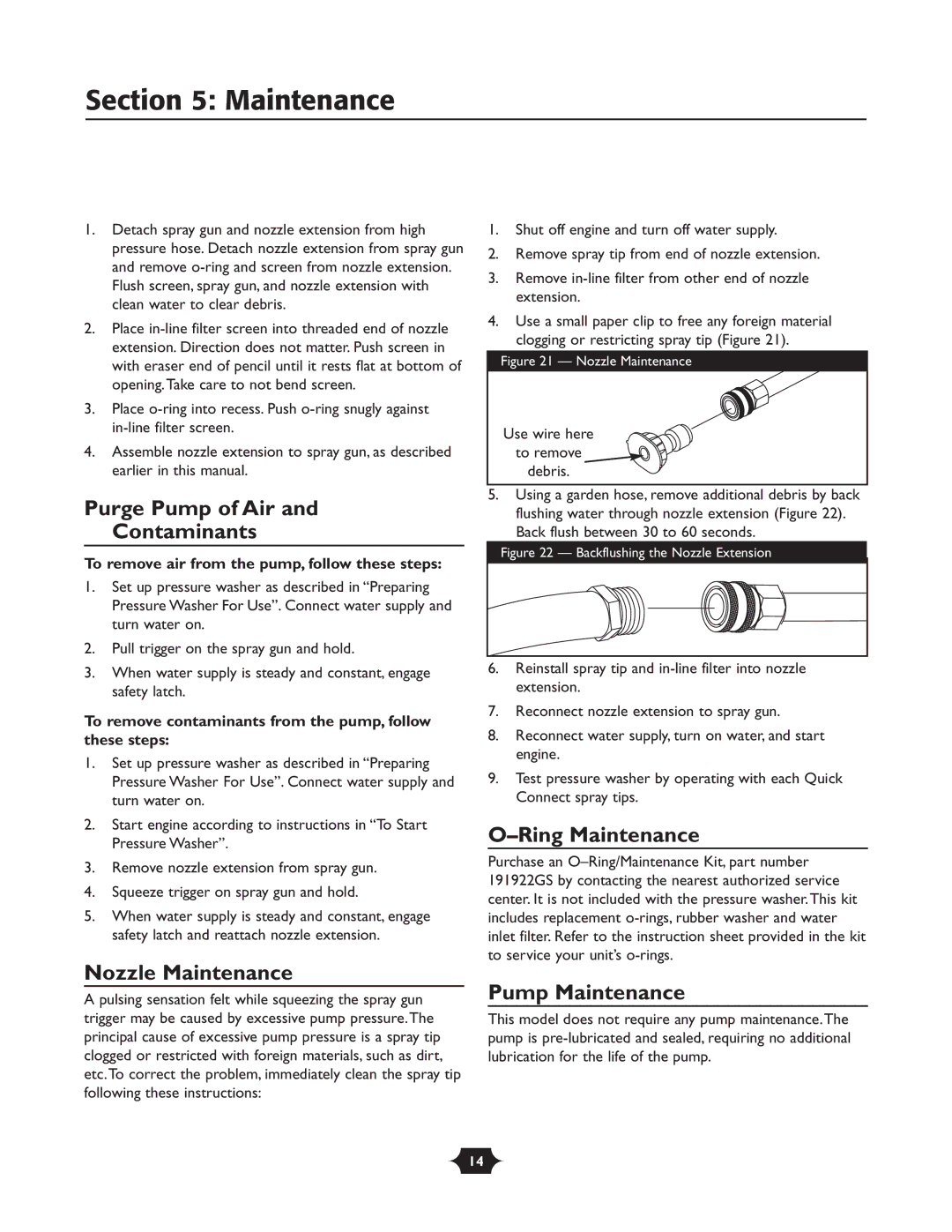 Briggs & Stratton 20209 Purge Pump of Air Contaminants, Nozzle Maintenance, Ring Maintenance, Pump Maintenance 