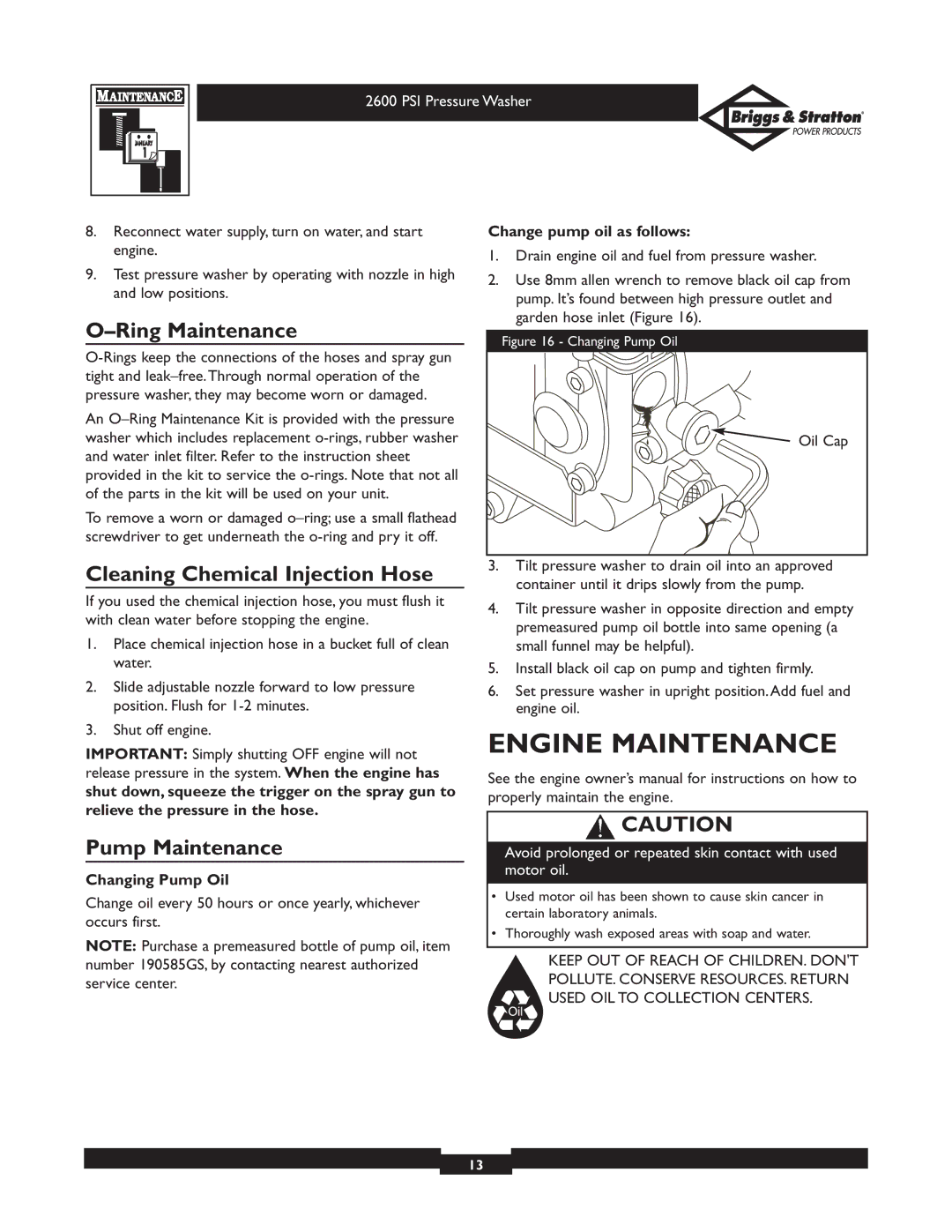 Briggs & Stratton 20216 Engine Maintenance, Ring Maintenance, Cleaning Chemical Injection Hose, Pump Maintenance 