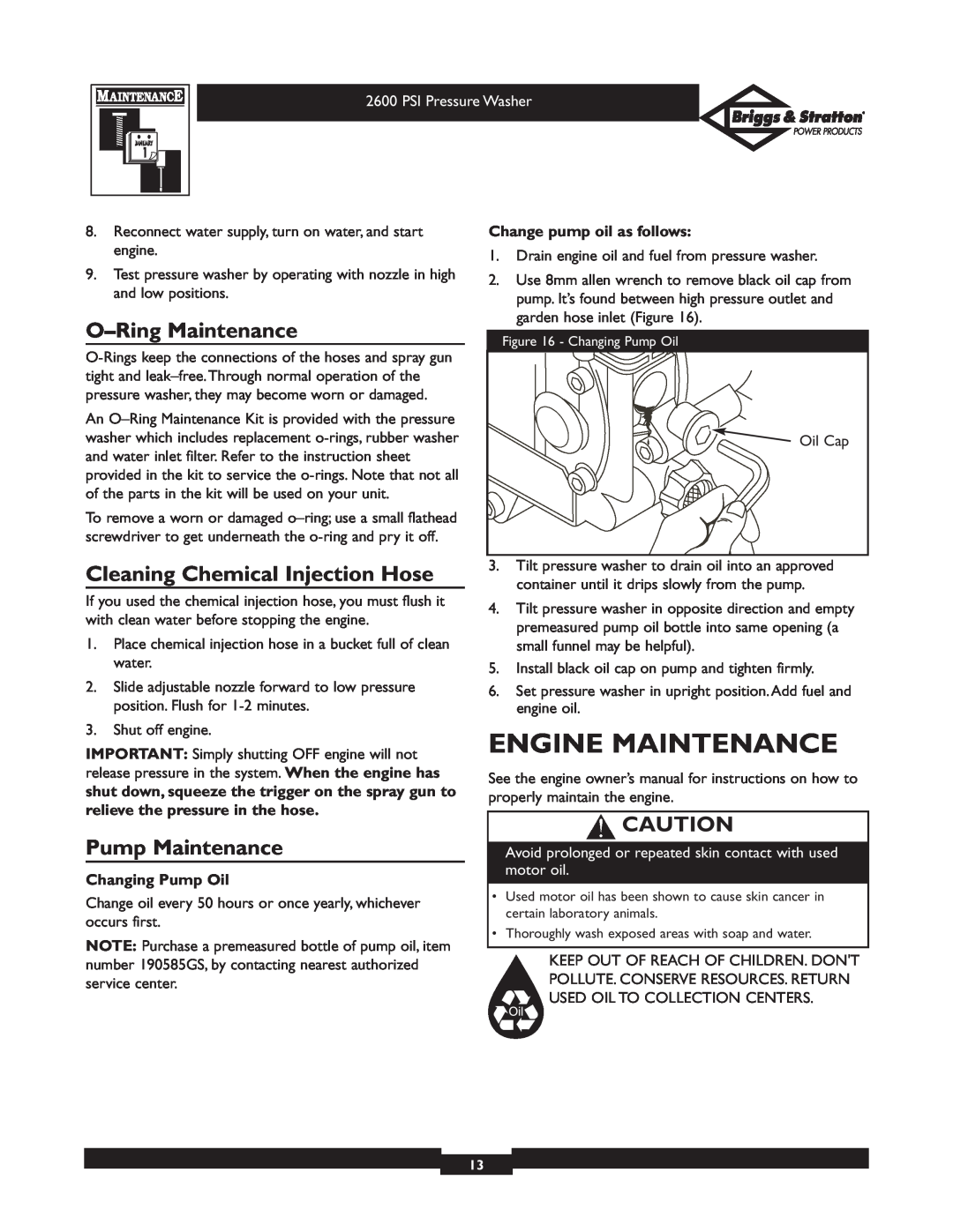Briggs & Stratton 20216 Engine Maintenance, O-Ring Maintenance, Cleaning Chemical Injection Hose, Pump Maintenance 