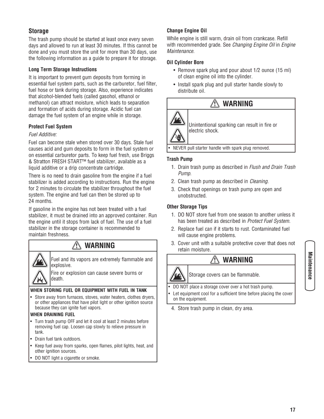 Briggs & Stratton 205378GS manual Storage 