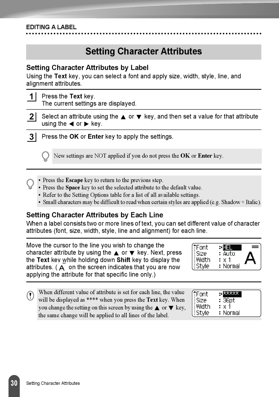 Brother LW6091001 appendix Setting Character Attributes by Label, Setting Character Attributes by Each Line 