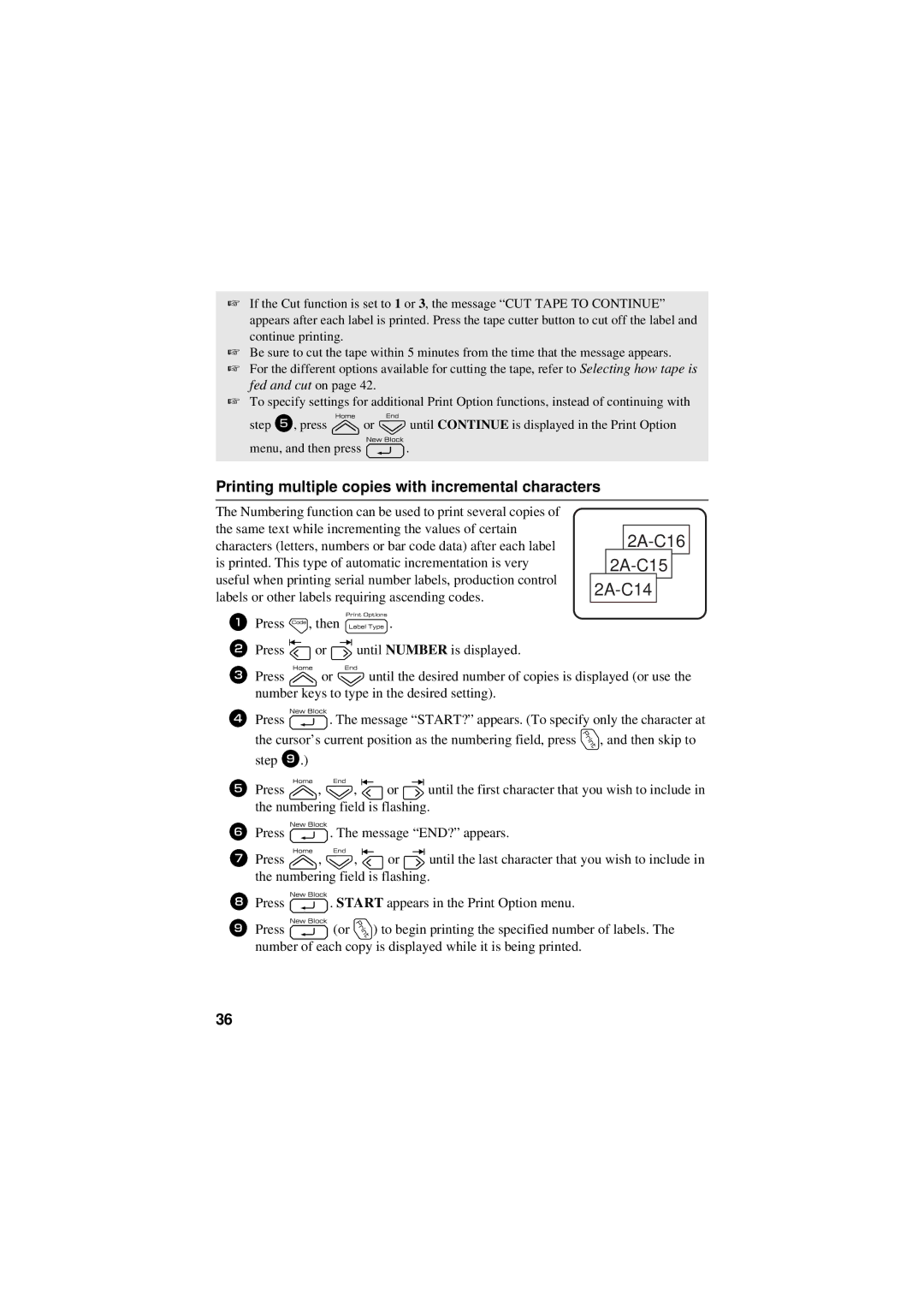 Brother PT-7500, PT-7600 manual 2A-C16 2A-BCC15 2A-C14, Printing multiple copies with incremental characters 