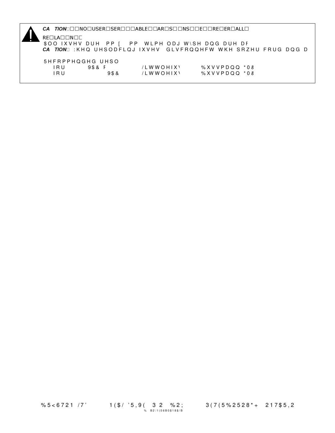 Bryston B60RP, B60RDA owner manual Replacing Fuses 