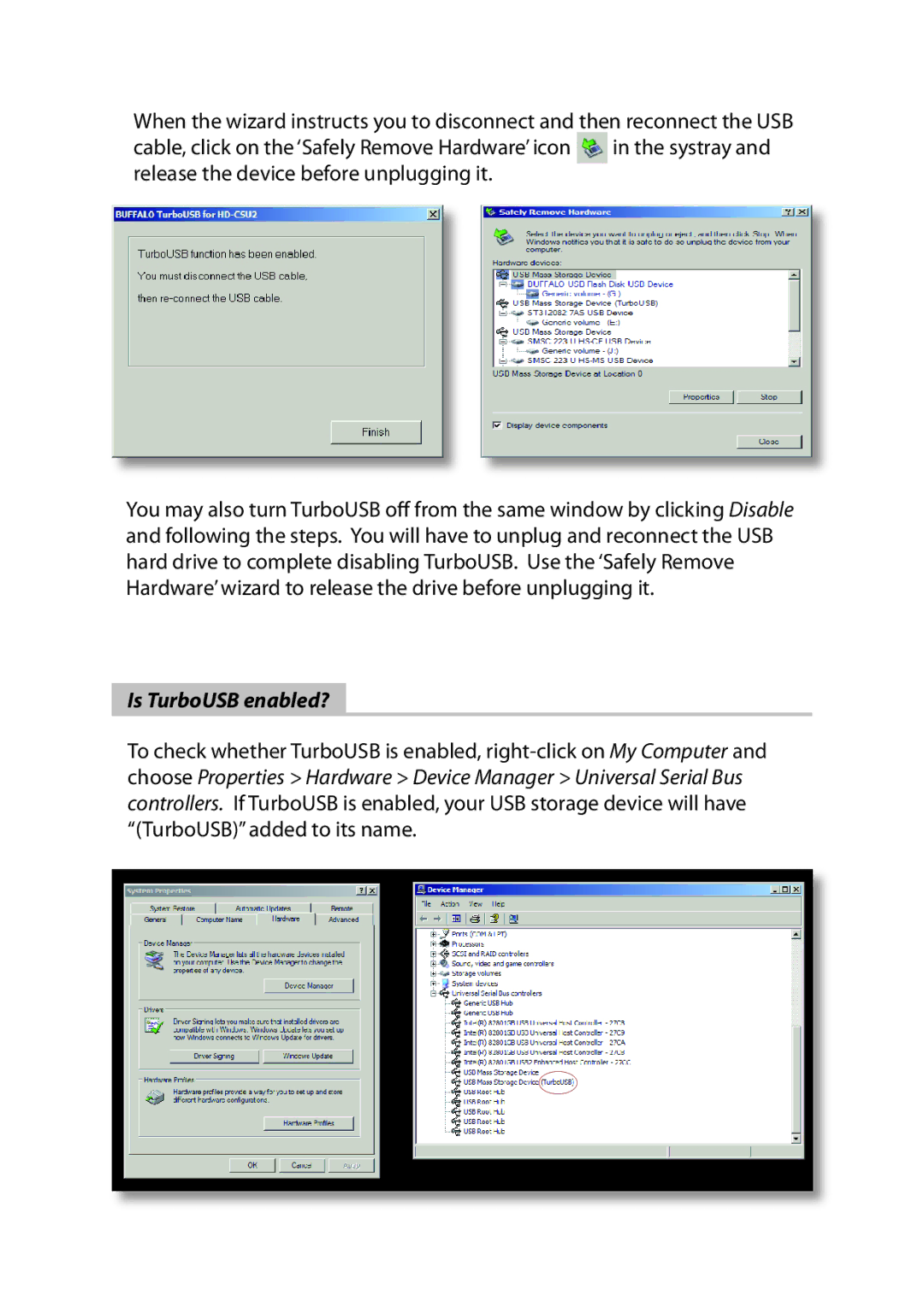 Buffalo Technology HD-HSU2 manual Is TurboUSB enabled? 