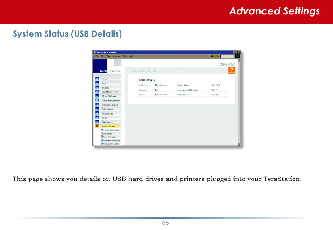 Buffalo Technology HS-DTGL/R5 user manual System Status USB Details 