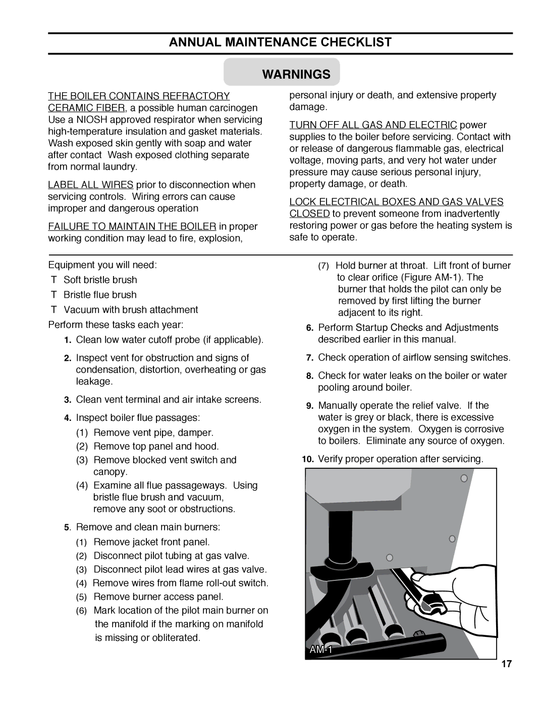 Burnham ES2 manual Annual Maintenance Checklist 