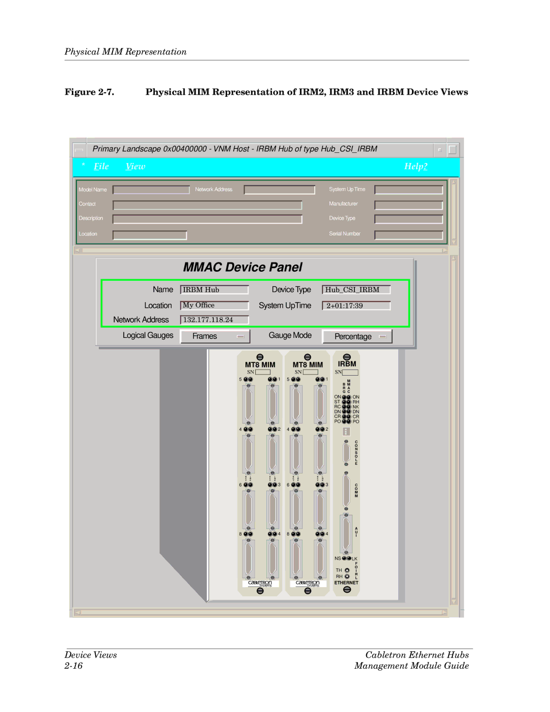 Cabletron Systems Ethernet Hubs manual Logical Gauges Frames 