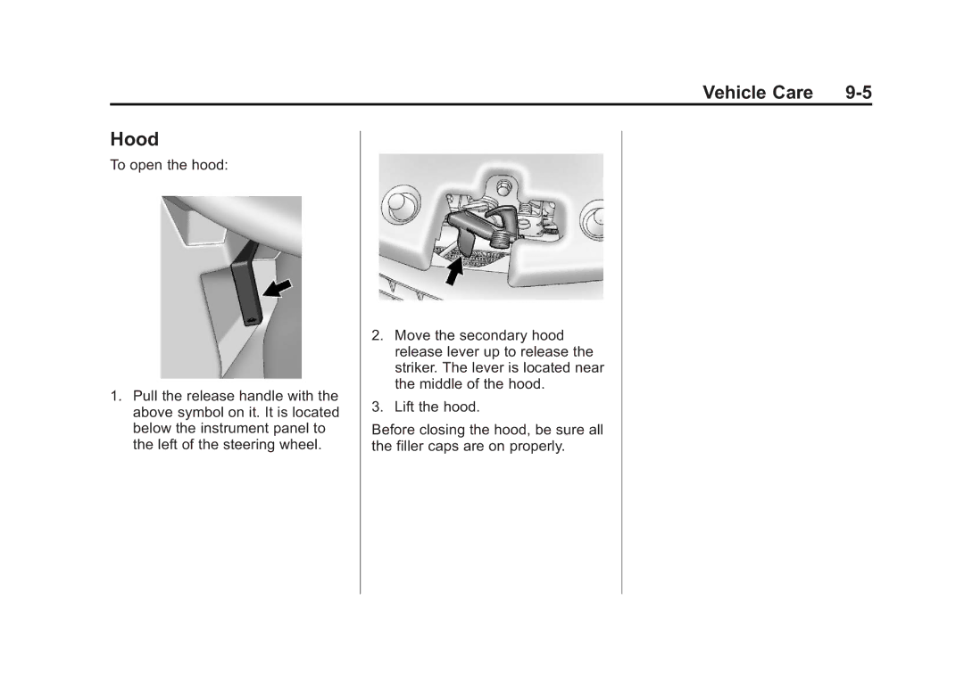 Cadillac 2010 owner manual Hood 