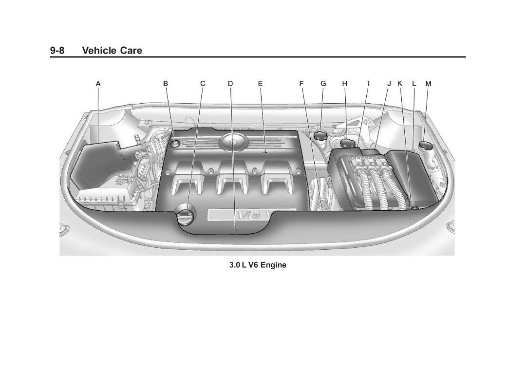 Cadillac 2010 owner manual Vehicle Care 