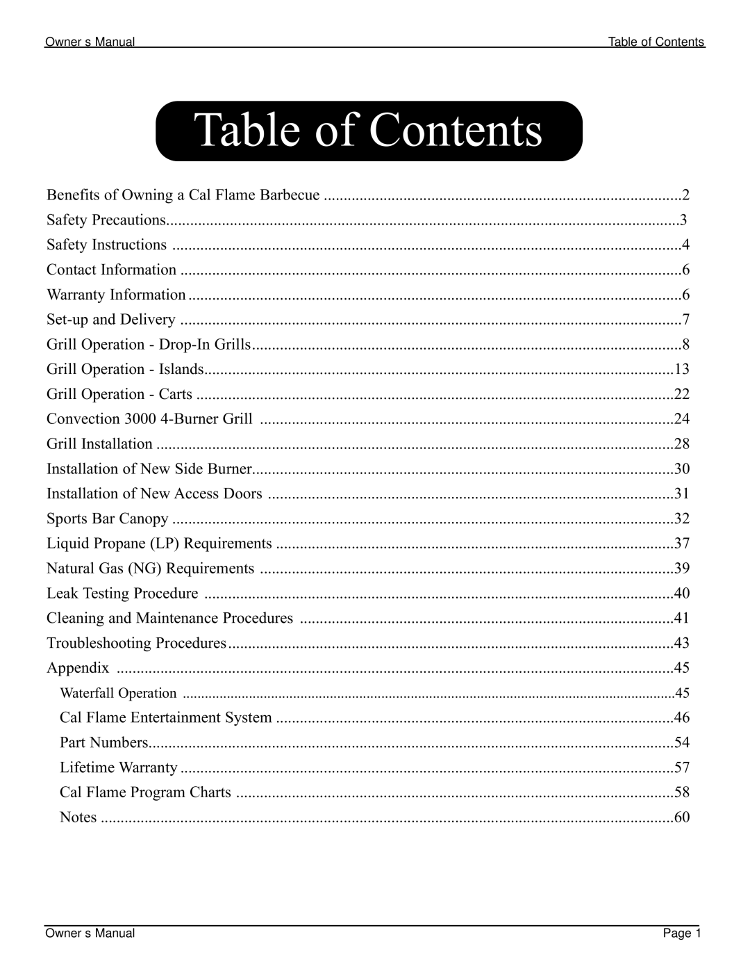 Cal Flame 3000 owner manual Table of Contents 