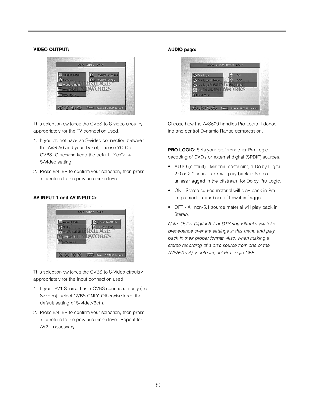 Cambridge SoundWorks AVS550 user manual Video Output, Audio, AV Input 1 and AV Input 