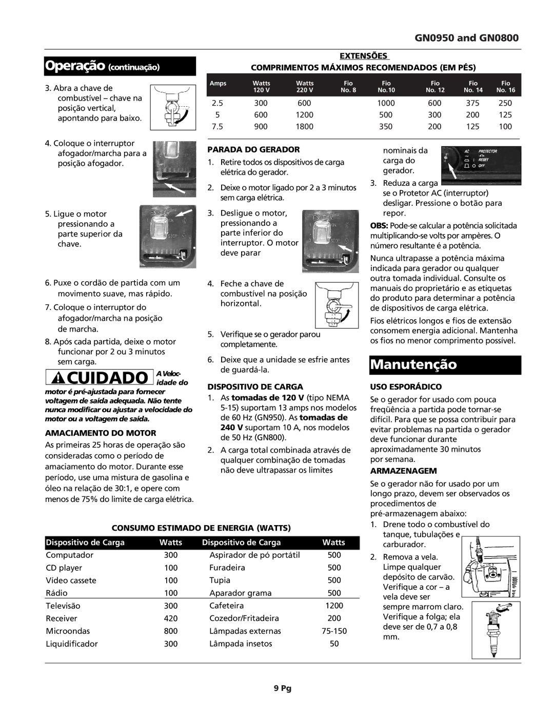 Campbell Hausfeld GN0800, GN0950 warranty Manutenção 