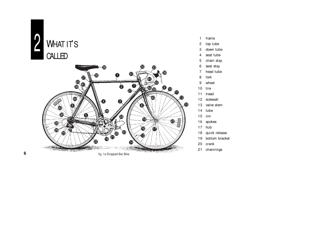 Cannondale Bicycles manual What IT’S Called 