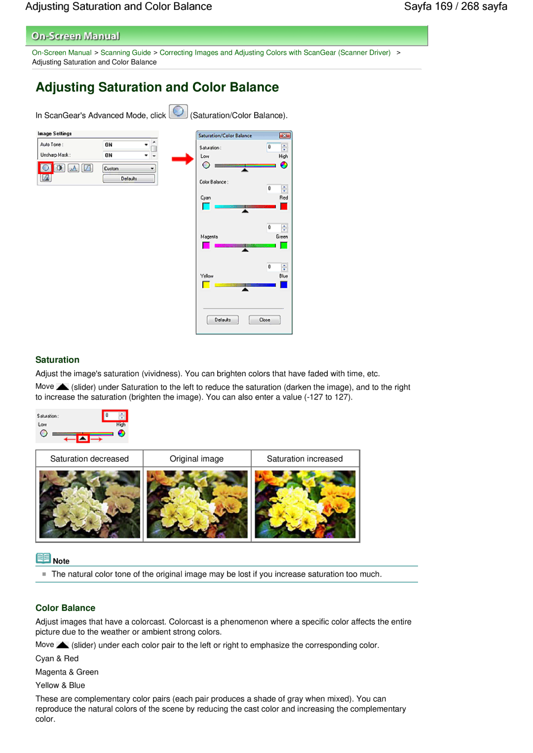 Canon 100 manual Adjusting Saturation and Color Balance 