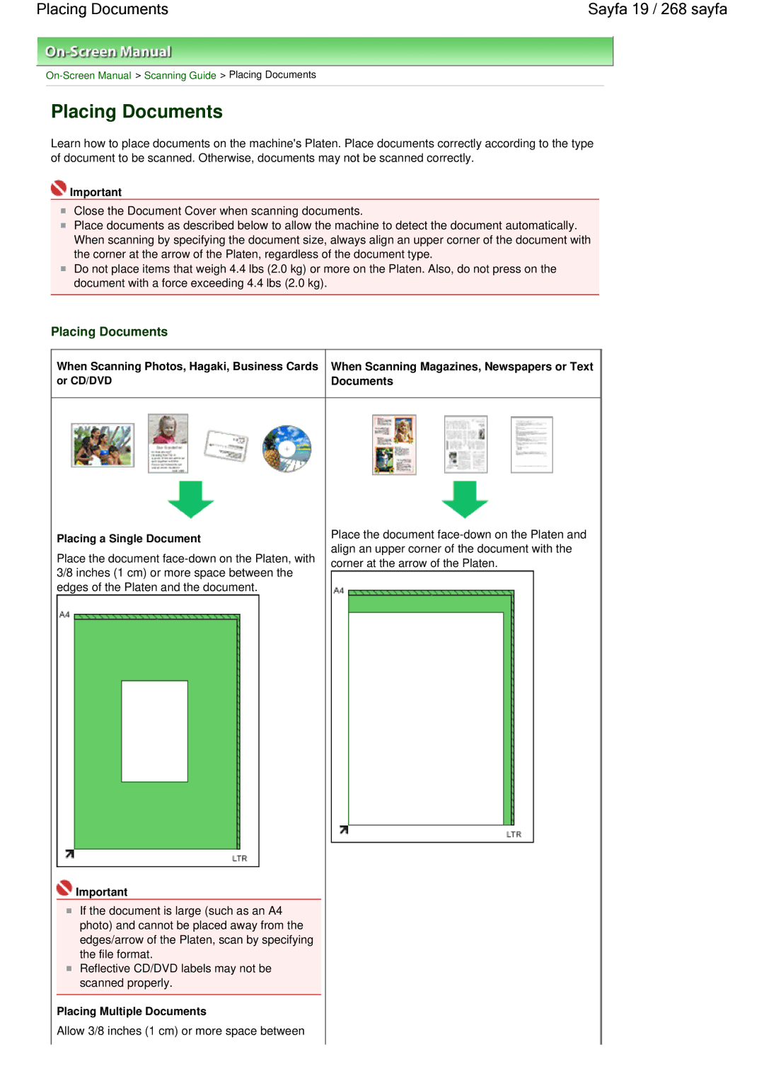 Canon 100 manual Placing Documents Sayfa 19 / 268 sayfa 