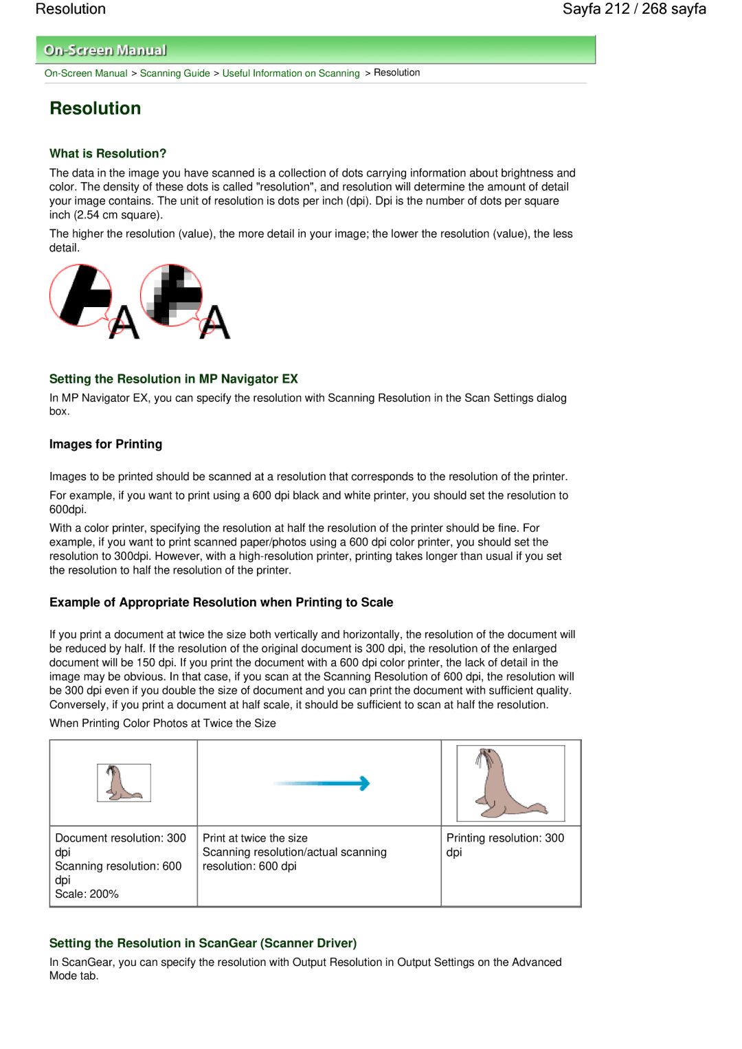 Canon 100 manual Resolution Sayfa 212 / 268 sayfa, What is Resolution?, Setting the Resolution in MP Navigator EX 