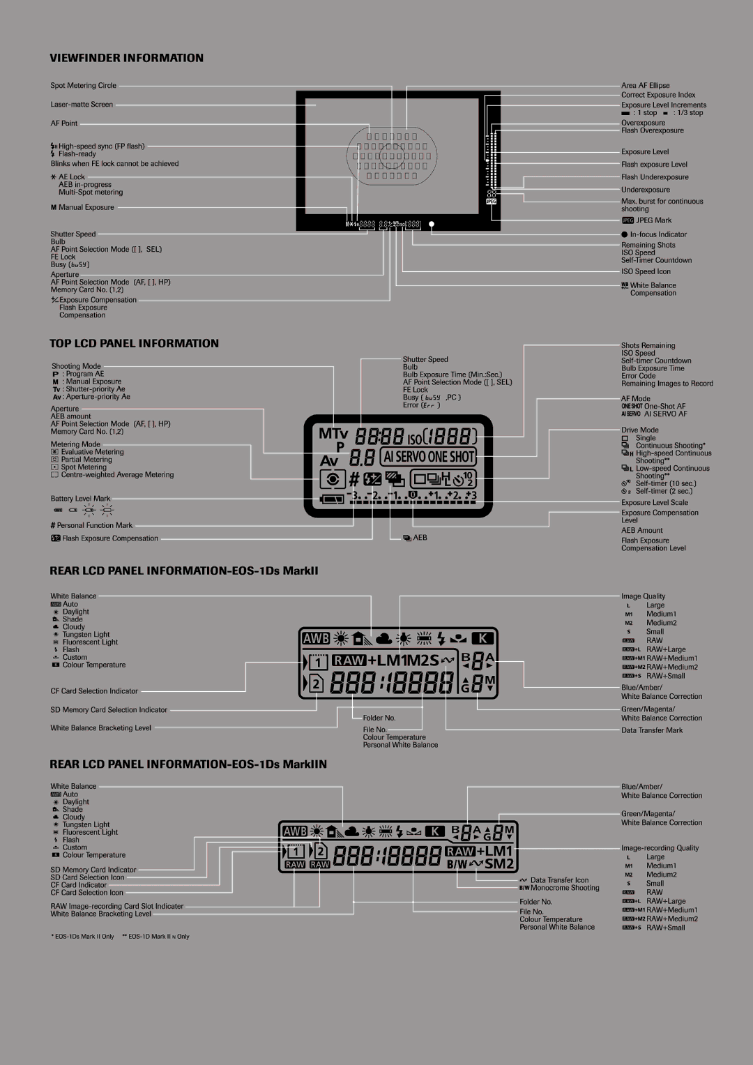 Canon 1D manual 