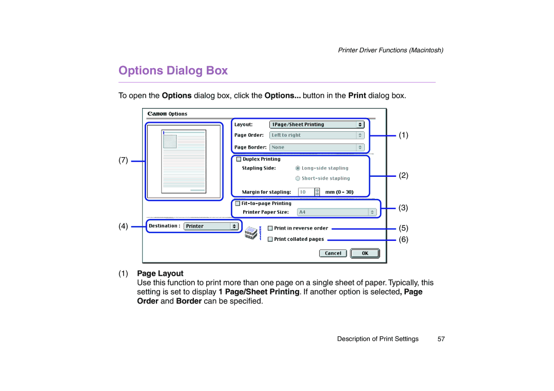 Canon 200 manual Options Dialog Box, Layout 