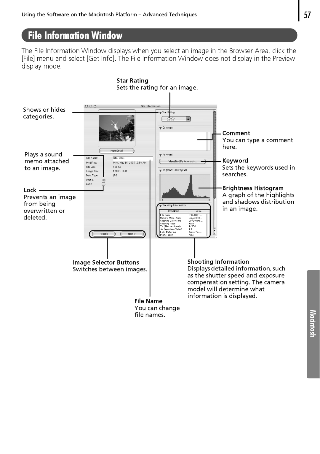 Canon 30 manual File Information Window, Shooting Information 