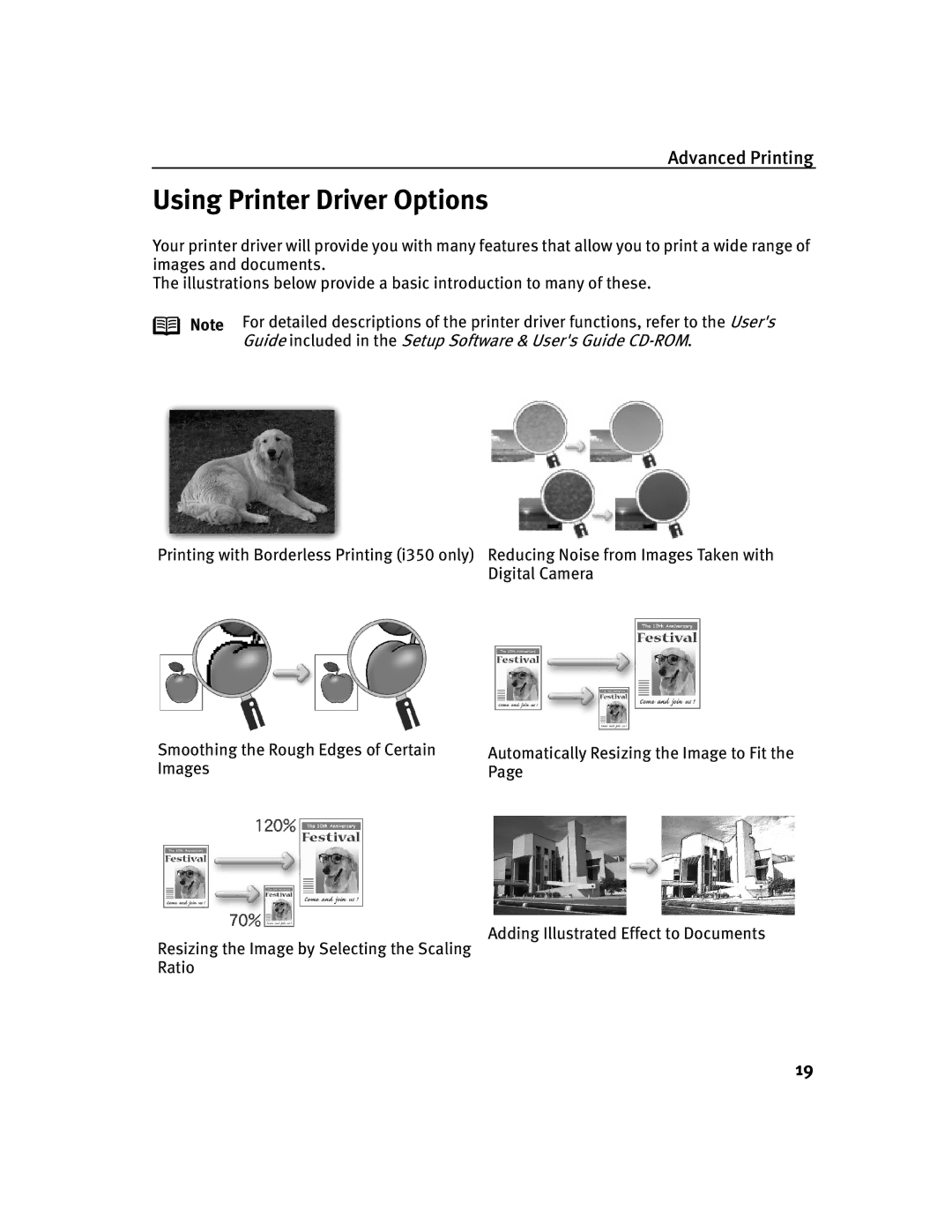 Canon 250, 350 quick start Using Printer Driver Options 