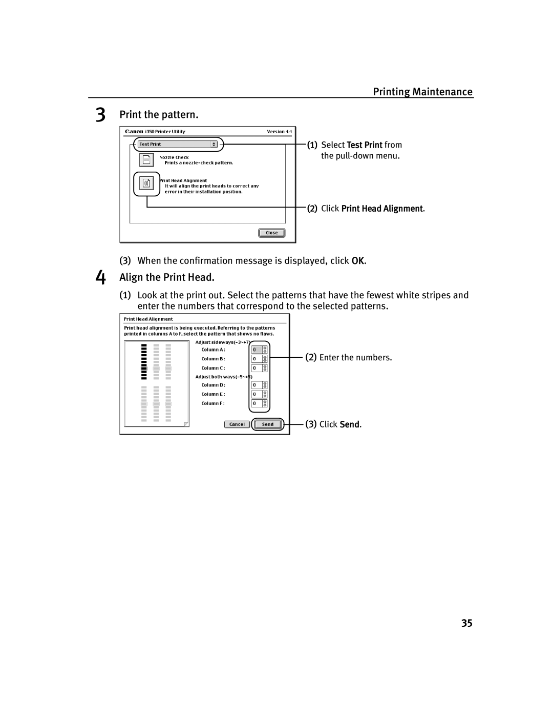 Canon 250, 350 quick start Printing Maintenance Print the pattern 