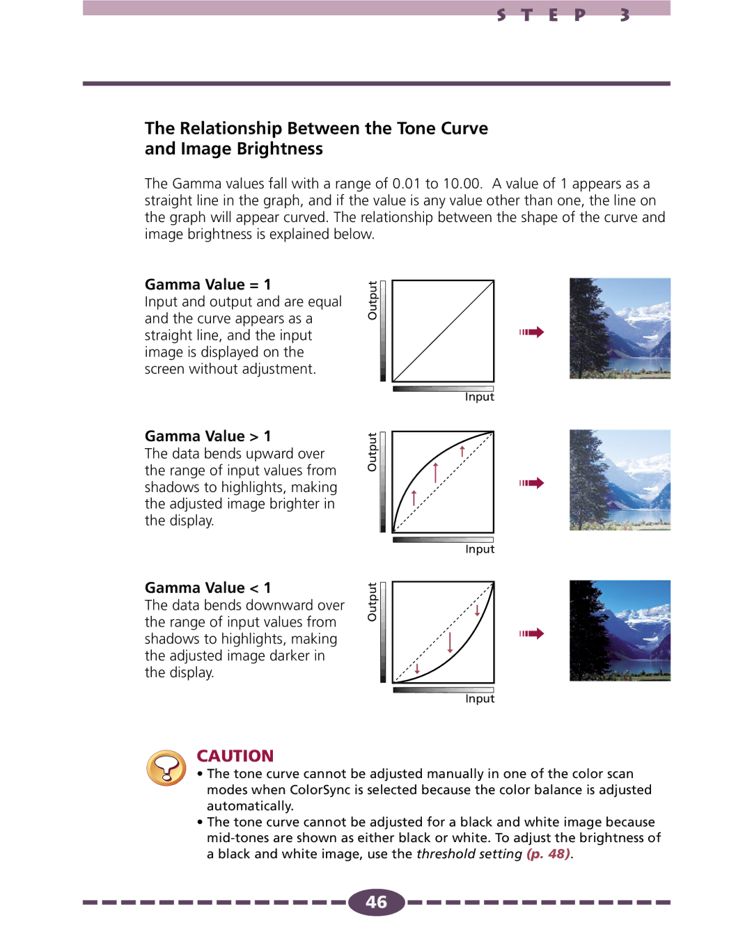 Canon 4.1 manual Relationship Between the Tone Curve Image Brightness, Gamma Value = 