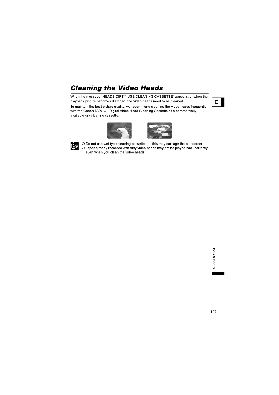 Canon 600 instruction manual Cleaning the Video Heads 