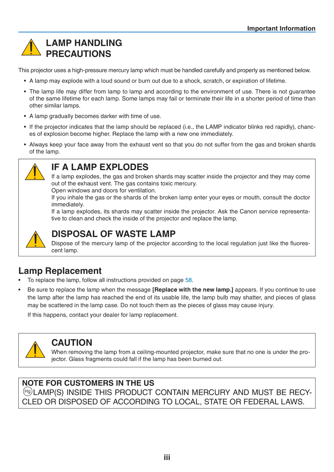 Canon 7365 user manual Lamp Replacement, Important Information 