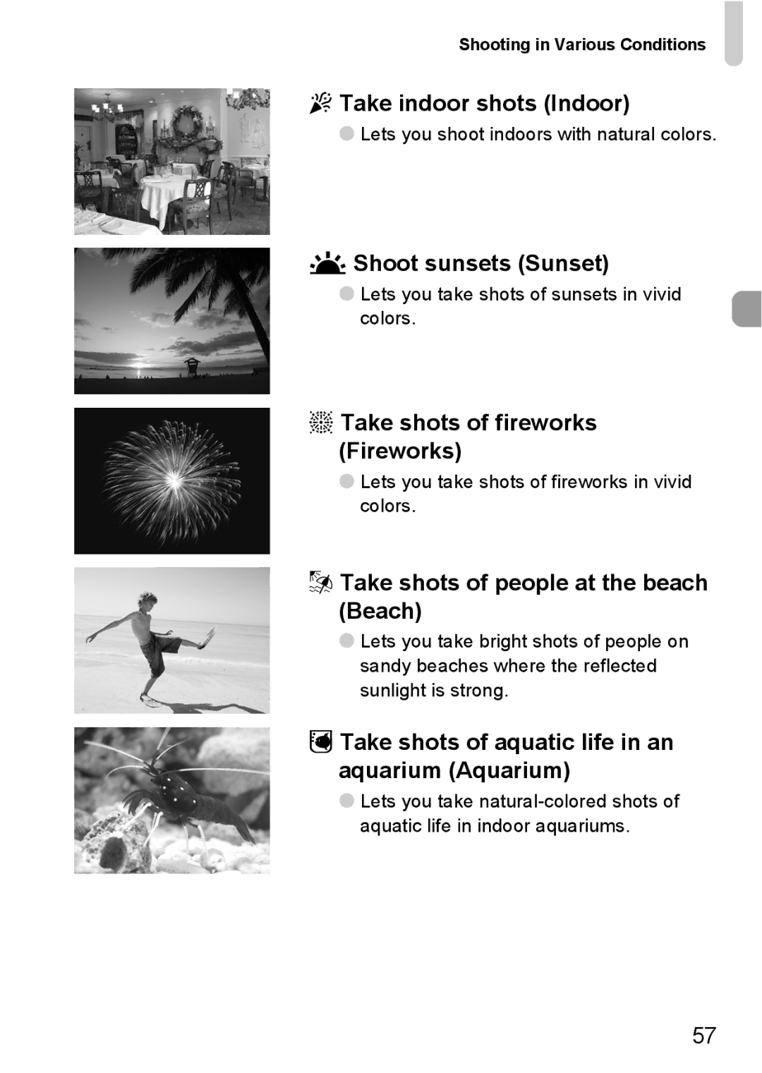 Canon 990 IS manual Take indoor shots Indoor, Shoot sunsets Sunset, Take shots of fireworks Fireworks 