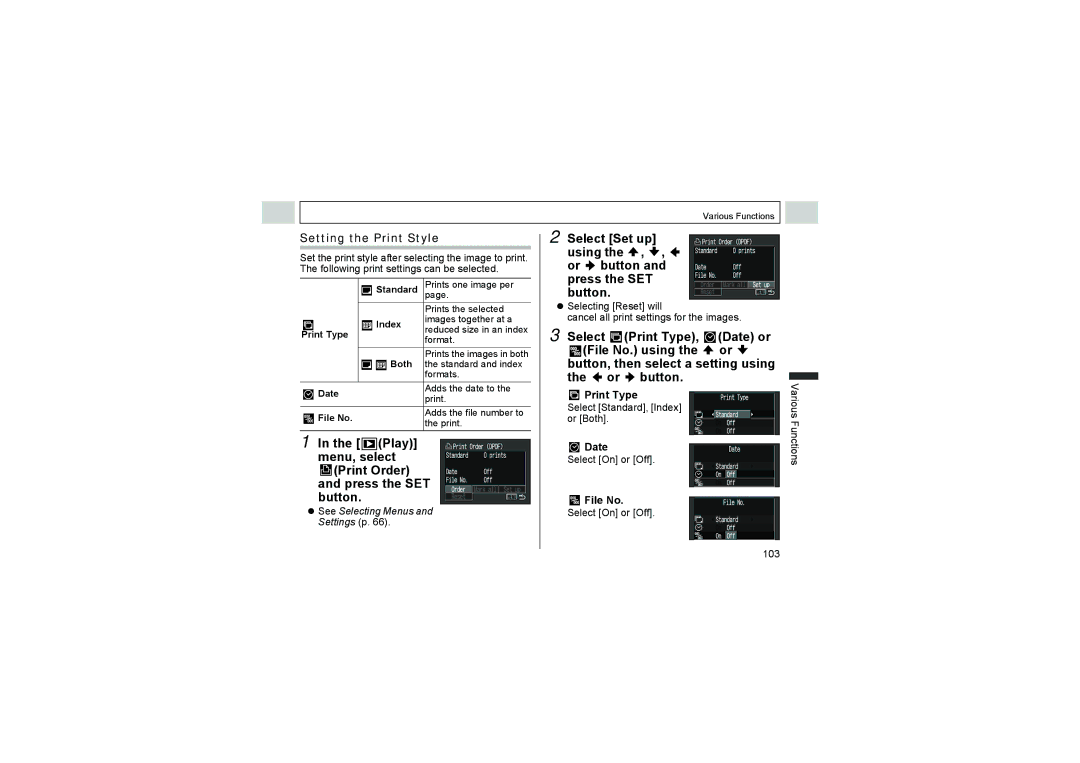 Canon A510, A520 manual Setting the Print Style, Print Type, Date, File No 