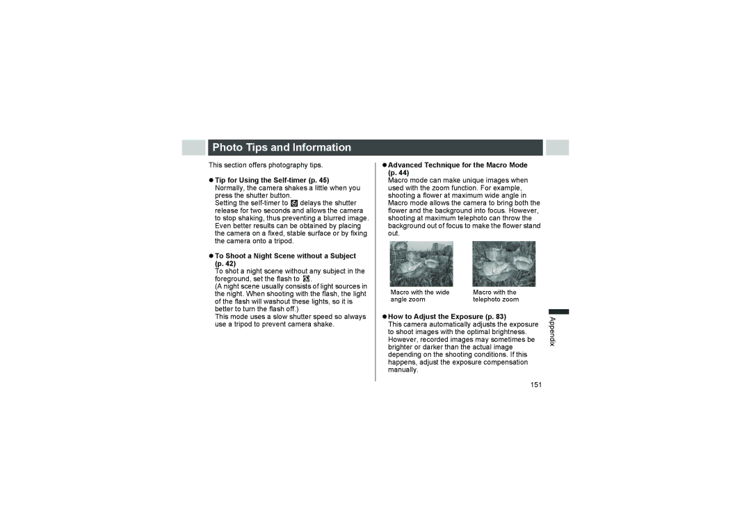 Canon A510 Photo Tips and Information, This section offers photography tips, To Shoot a Night Scene without a Subject p 