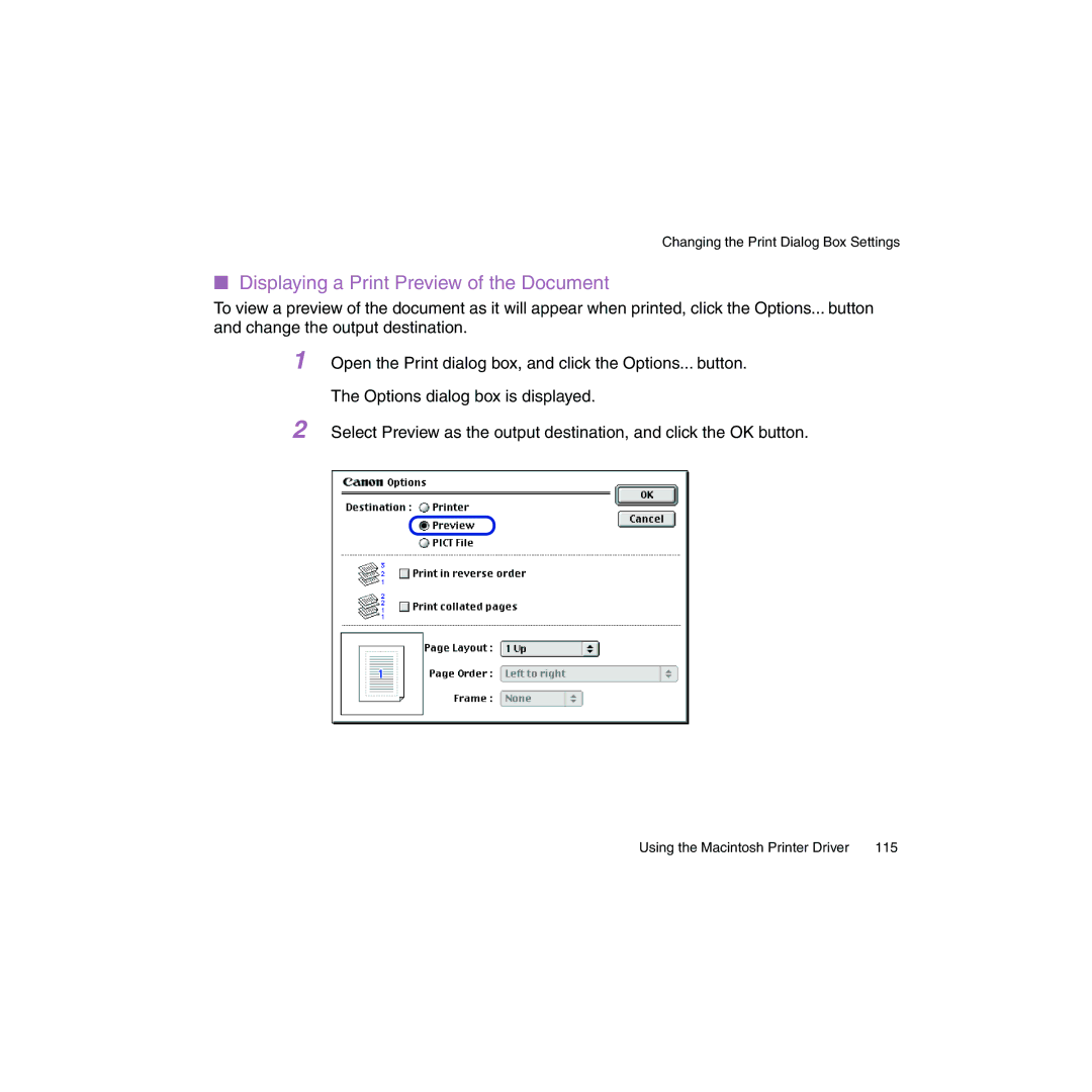 Canon BJC-2100 user manual Displaying a Print Preview of the Document 