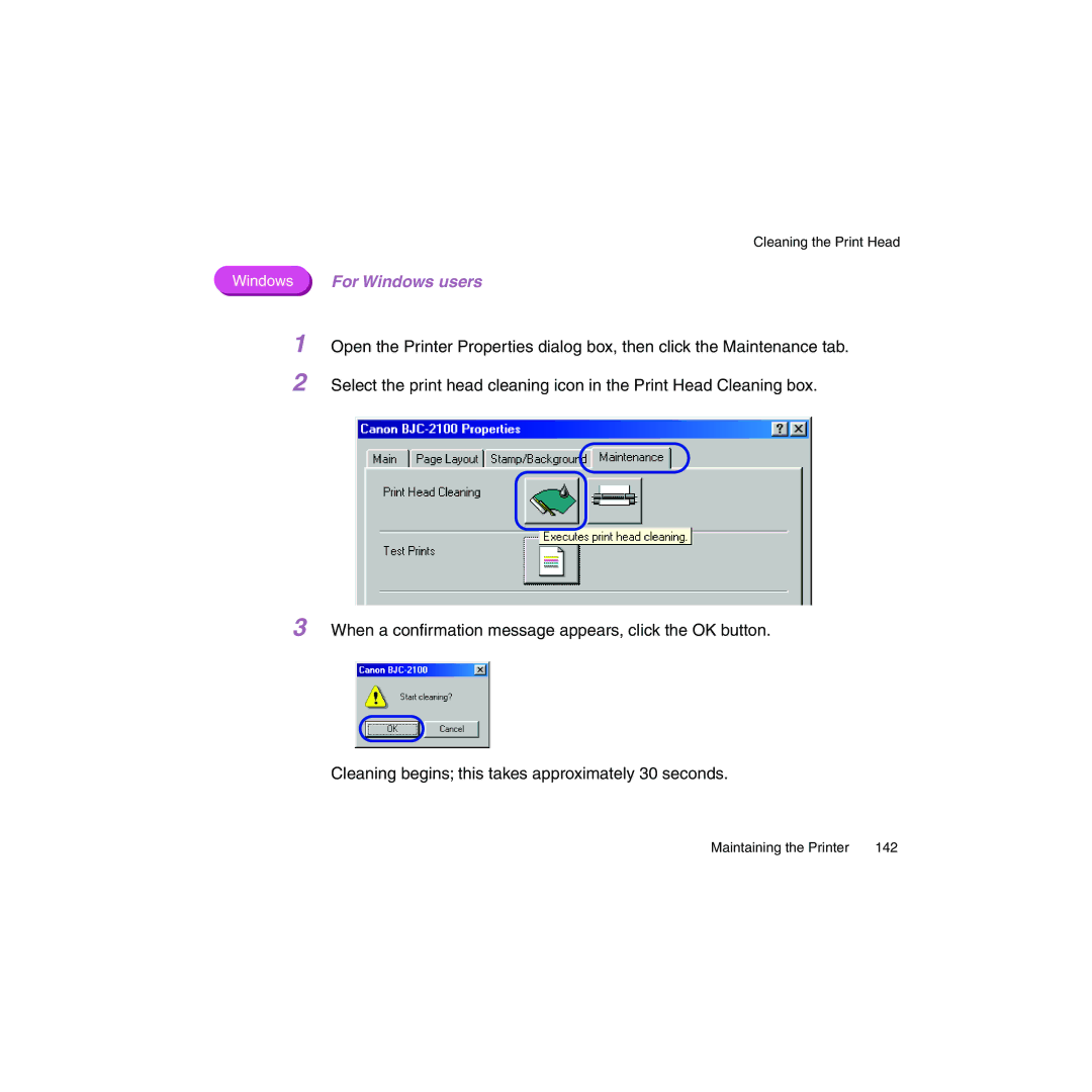 Canon BJC-2100 user manual Cleaning the Print Head 