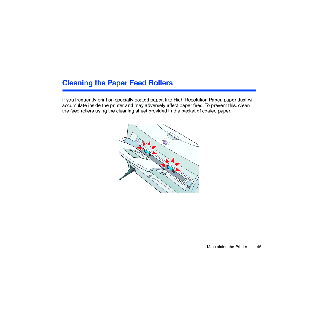 Canon BJC-2100 user manual Cleaning the Paper Feed Rollers 