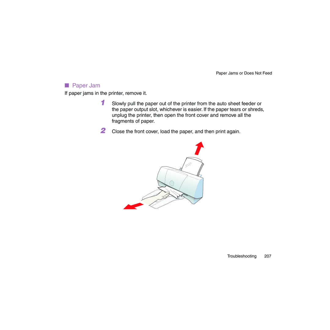 Canon BJC-2100 user manual Paper Jam 