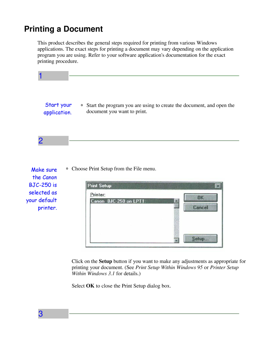 Canon BJC-250 user manual Printing a Document 