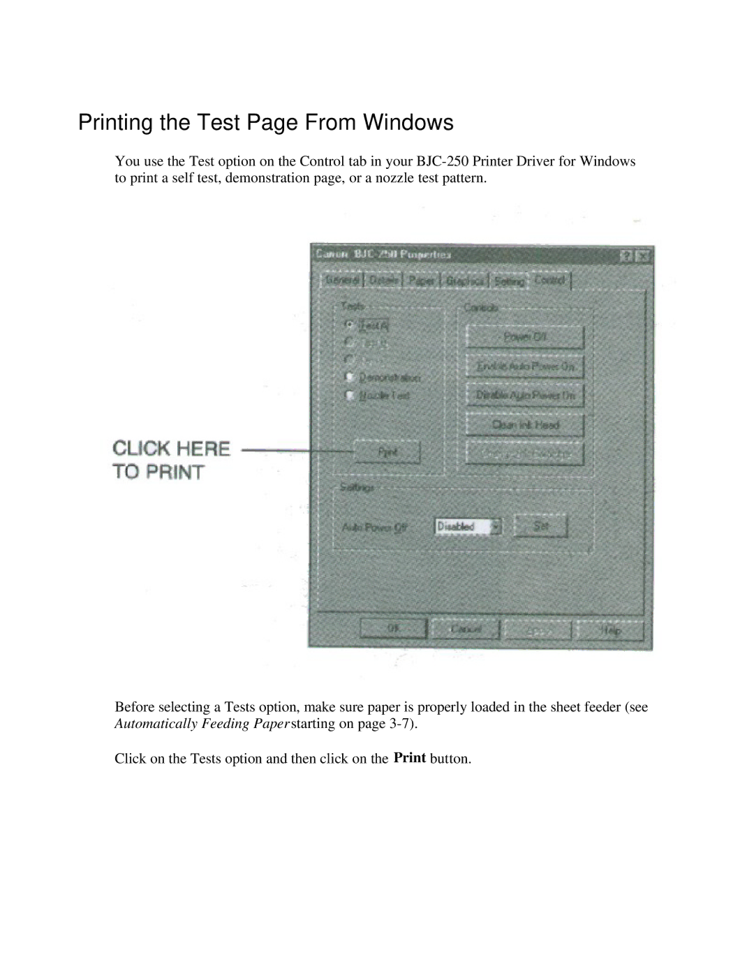 Canon BJC-250 user manual Printing the Test Page From Windows 