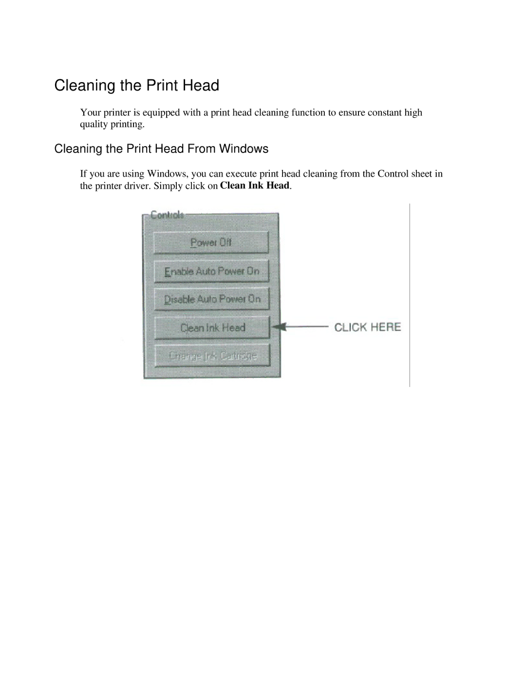 Canon BJC-250 user manual Cleaning the Print Head From Windows 