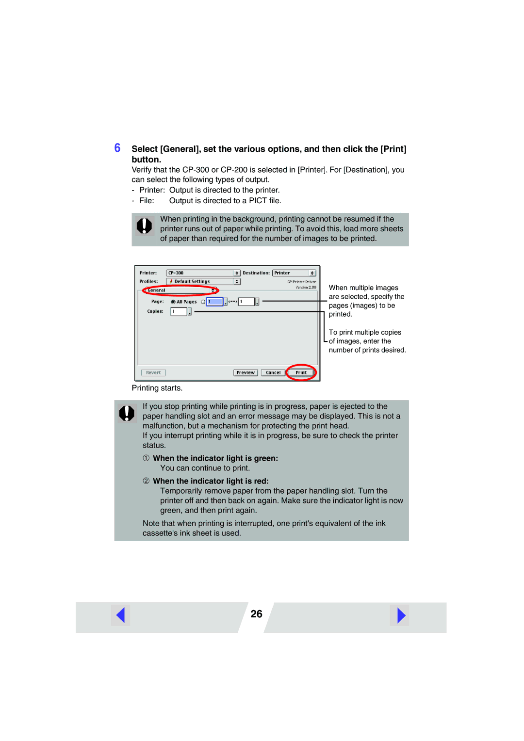 Canon CP-200, CP-300 manual File 