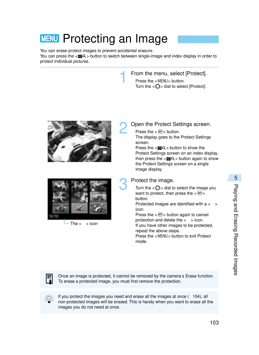 Canon D60 manual Protecting an Image, From the menu, select Protect, Open the Protect Settings screen, Protect the image 