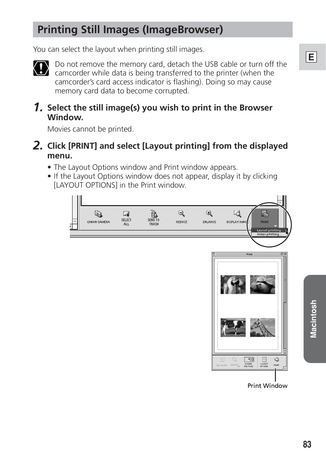 Canon DIM-521A instruction manual Printing Still Images ImageBrowser 