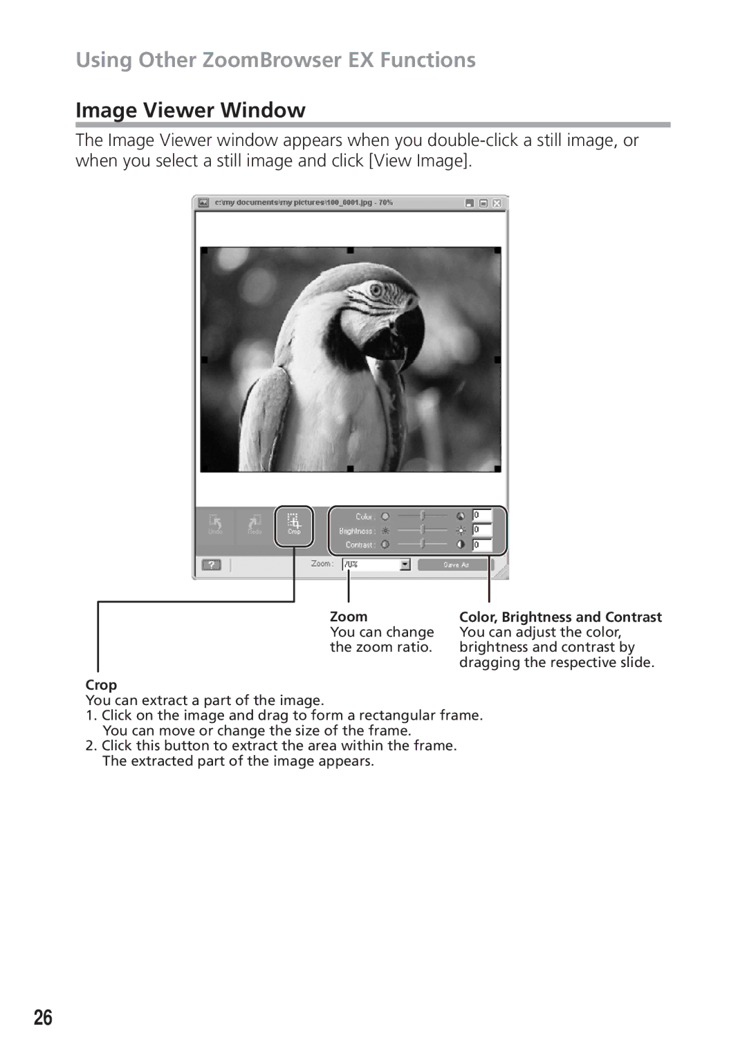 Canon DIM-538 instruction manual Image Viewer Window, Zoom 